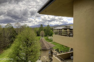 View from Entrance