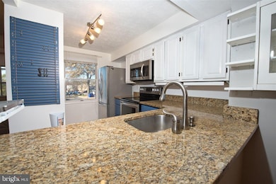 6033 Rowanberry Dr, Elkridge, MD 21075 - photo 5