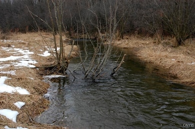 317 Cummings Rd, Pulaski, NY 13142 - photo 4