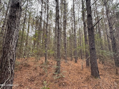 000 Elarton Rd, Osyka, MS 39657 - photo 2