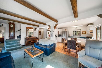 900 Spring Rd, Durango, CO 81303 - photo 4