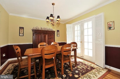 1807 Cool Spring Dr, Alexandria, VA 22308 - photo 7