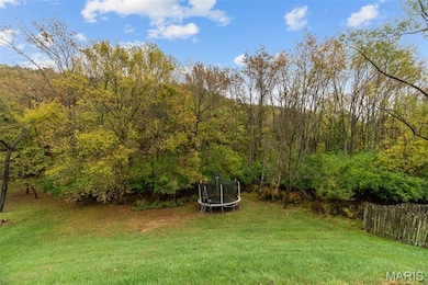 1604 Ivy Chase Ln, Fenton, MO 63026 - photo 4