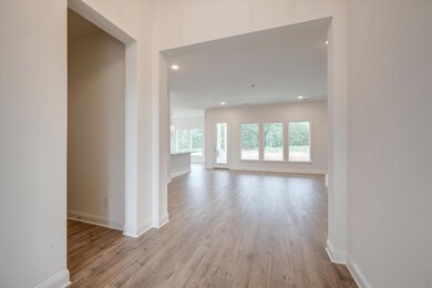 1008 Monaco Ct, Springtown, TX 76082 - photo 6