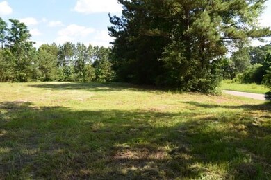 30228 Woodrow Magee Rd, Franklinton, LA 70438 - photo 5