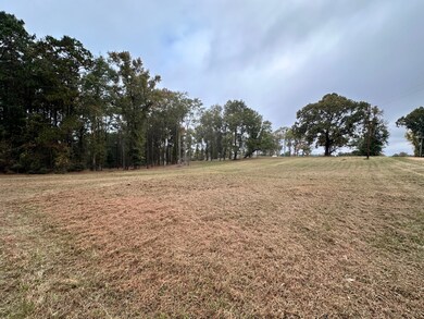 1 Yokum Trail, Many, LA 71449 - photo 4