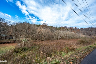 873 Indian Gap Rd, Sevierville, TN 37876 - photo 6