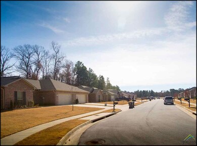 5052 Shiloh Ridge Dr, Tyler, TX 75703 - photo 3