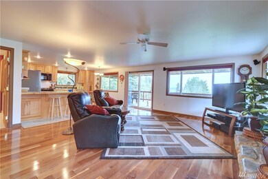 10705 87th Street Ct, Anderson Island, WA 98303 - photo 7