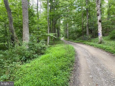 9.89Acs Rough Run Rd, Eastern, WV 26802 - photo 5