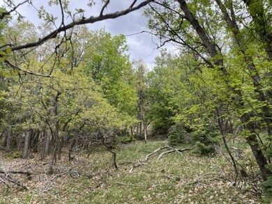 Early spring