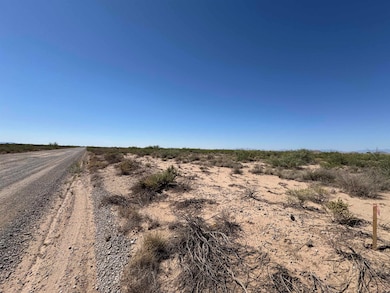 Lot 11 Block 2 Southland Rd unit 11, Alamogordo, NM 88310 - photo 2