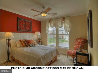 24590 Johnson Oak Terrace, Chantilly, VA 20152 - photo 5