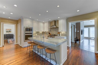 Gourmet quartzite kitchen