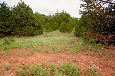 7427 Redbud Trail, Guthrie, OK 73044 - photo 4