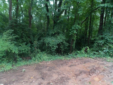 311AA Shirley Rd, Piedmont, SC 29673 - photo 4