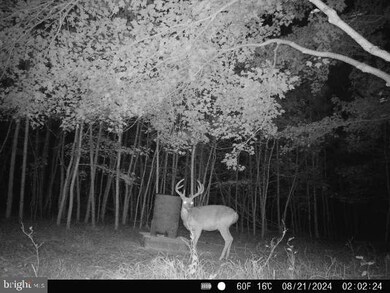 0 Aireys Rd unit MDDO2008728, Cambridge, MD 21613 - photo 7