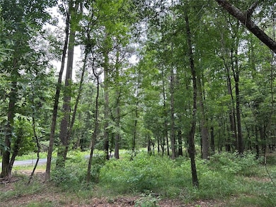 View of tree filled area