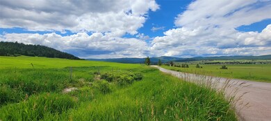 238 Bison Circle Dr, Kalispell, MT 59901 - photo 4