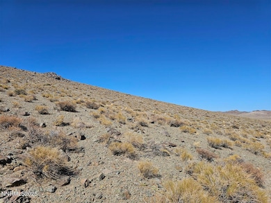 12.92ac Patented Mining Claim, Yerington, NV 89447 - photo 3