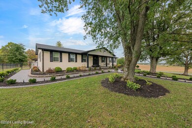 2-web-or-mls-DSC09522
