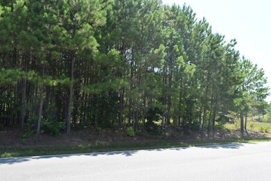 279 Expressway Dr, Manchester, TN 37355 - photo 4