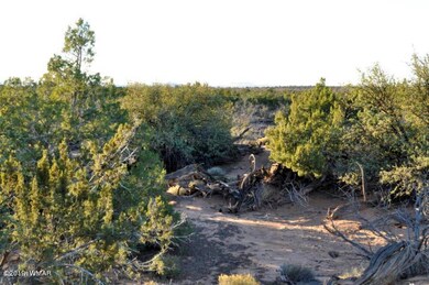 Lot 49C Justin Ln Ranch of The White Mtn