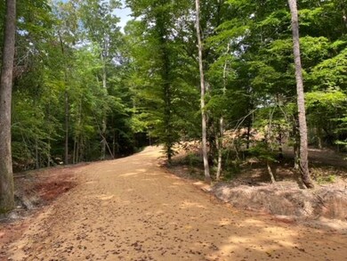 TBD Cr 405 & Hwy 334, Oxford, MS 38655 - photo 6