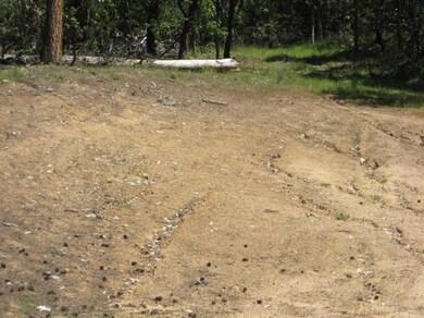 107 Columbia Crest Dr, Merlin, OR 97532 - photo 6