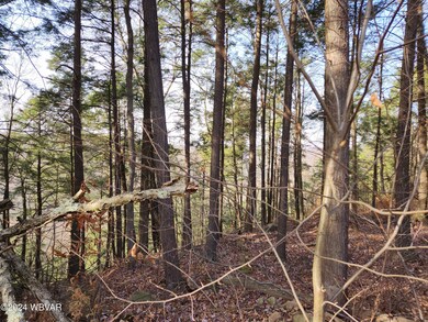 0 Pole Bridge Rd unit LOT 39 WB-100451, Laporte Township, PA 17758 - photo 2