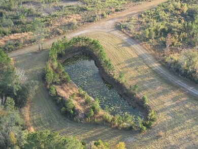 5150 Cr 405, Branford, FL 32008 - photo 7