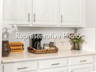 13213 Gadwal Pintail Dr unit 191, Charlotte, NC 28262 - photo 4