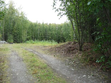 14248 W Holly Loop, Big Lake, AK 99652 - photo 4