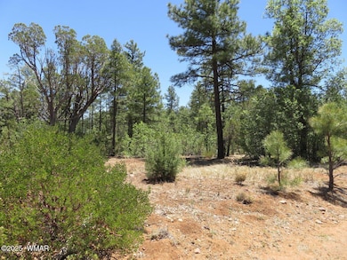 20180531202444947680000000-o - Copy - Co