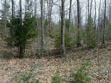 Land/Lot.
