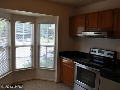 4087 Silver Park Terrace, Suitland, MD 20746 - photo 3