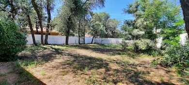 1206 N Apache Ln, Payson, AZ 85541 - photo 4