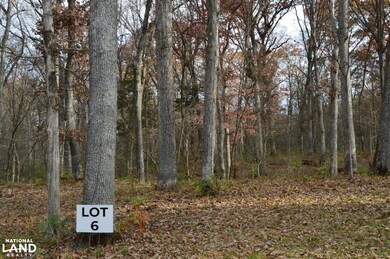 6 Serenity Lake Ct, Foristell, MO 63348 - photo 4