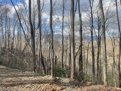 Lot 4 Copperhead Cove Rd, Sylva, NC 28779 - photo 3