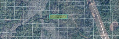 0 Dill Rd unit MFRO6234595, Orlando, FL 32820 - photo 3