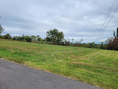 0 Captain Hizer Ln unit 635439, Verona, VA 24482 - photo 3