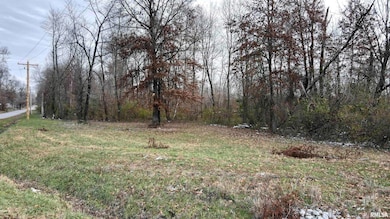 10200 Country Club Rd, West Frankfort, IL 62896 - photo 2