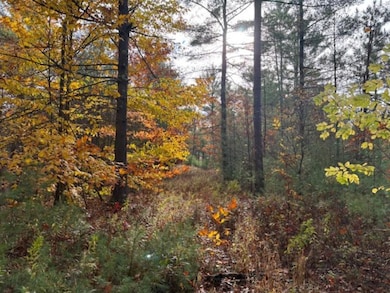 954 State Highway 9n, Keeseville, NY 12944 - photo 7