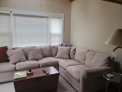 3 Abbie Ln unit C-167, Wilmington, VT 05363 - photo 7