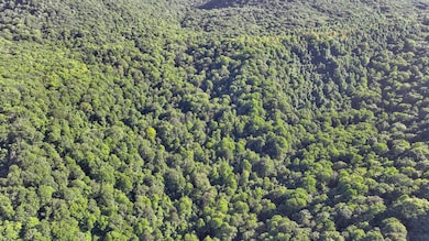 DJI_0260