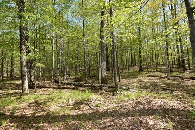 2376 2 Bear Rd, Weyerhaeuser, WI 54895 - photo 4