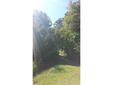 0 Township Road 285 unit 3657531, Coshocton, OH 43812 - photo 2