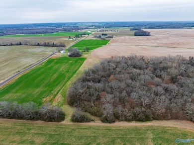 Lot 2 Mack Rd, Athens, AL 35611 - photo 6