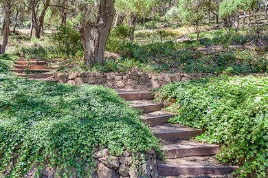 Wooded Paths