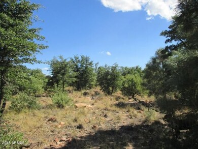 Photo 04
